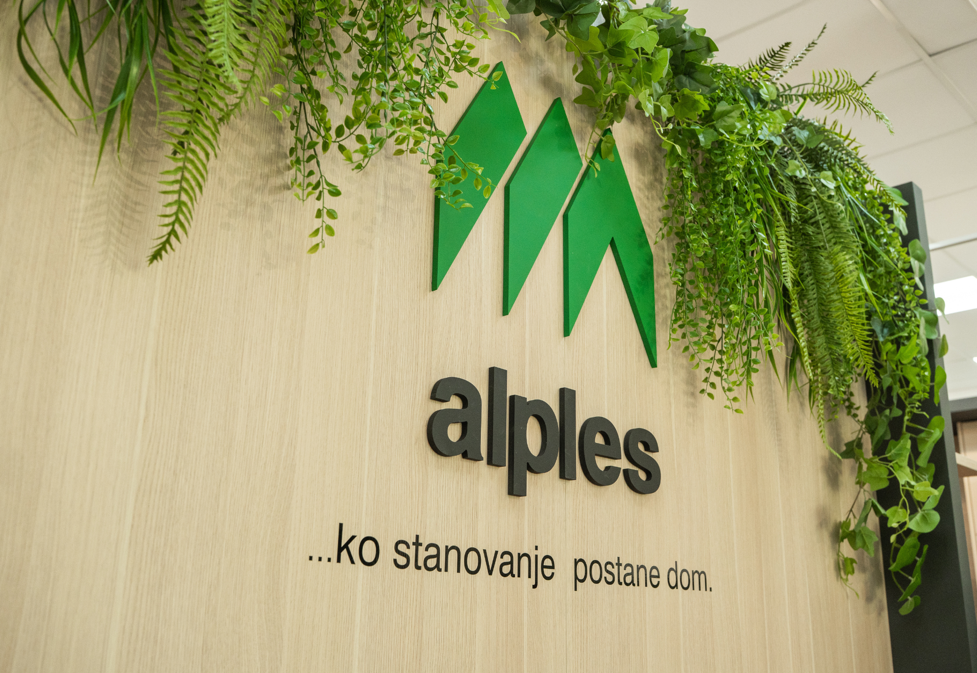 STUDIO ALPLES